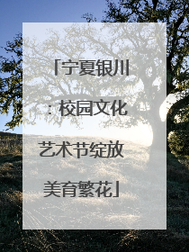 宁夏银川：校园文化艺术节绽放美育繁花