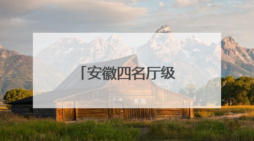 安徽四名厅级干部任前公示