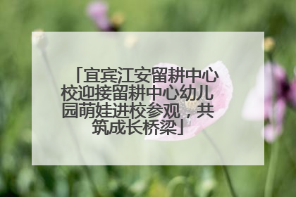 宜宾江安留耕中心校迎接留耕中心幼儿园萌娃进校参观，共筑成长桥梁