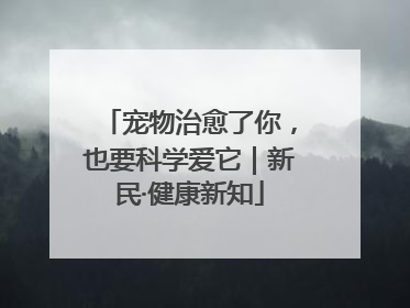 宠物治愈了你，也要科学爱它｜新民·健康新知