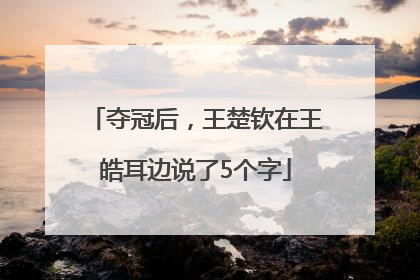 夺冠后，王楚钦在王皓耳边说了5个字