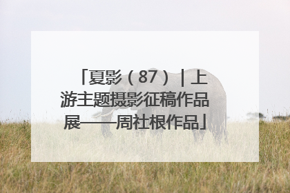 夏影（87）｜上游主题摄影征稿作品展——周社根作品