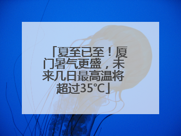 夏至已至！厦门暑气更盛，未来几日最高温将超过35℃