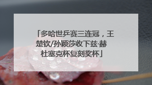 多哈世乒赛三连冠，王楚钦/孙颖莎收下兹·赫杜塞克杯复刻奖杯