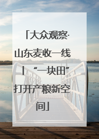 大众观察·山东麦收一线丨“一块田”打开产粮新空间