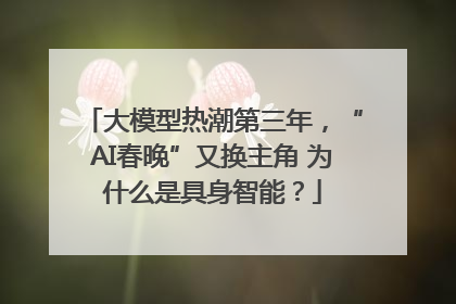 大模型热潮第三年，“AI春晚”又换主角 为什么是具身智能？