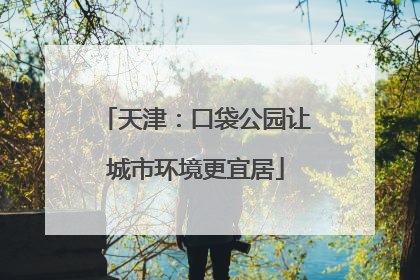 天津：口袋公园让城市环境更宜居