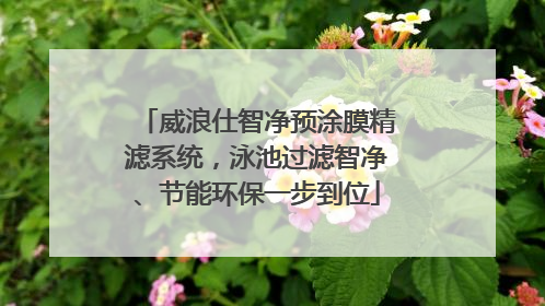 威浪仕智净预涂膜精滤系统，泳池过滤智净、节能环保一步到位