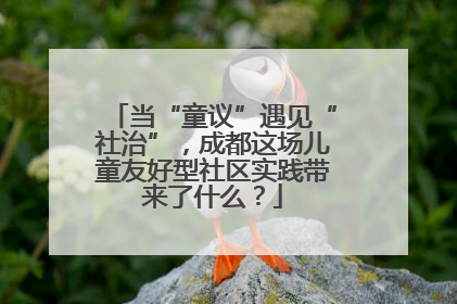 当“童议”遇见“社治”，成都这场儿童友好型社区实践带来了什么？