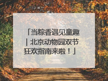 当粽香遇见童趣｜北京动物园双节狂欢指南来啦！