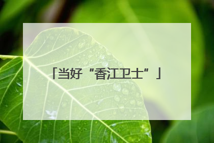 当好“香江卫士”