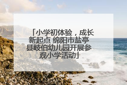 小学初体验，成长新起点 绵阳市盐亭县岐伯幼儿园开展参观小学活动