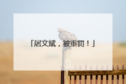 屠文斌，被重罚！
