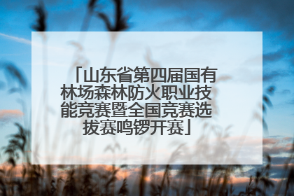 山东省第四届国有林场森林防火职业技能竞赛暨全国竞赛选拔赛鸣锣开赛