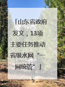 山东省政府发文，13项主要任务推动省级水网“一网统管”