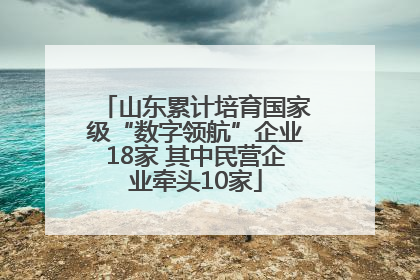 山东累计培育国家级“数字领航”企业18家 其中民营企业牵头10家
