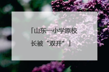 山东一小学原校长被“双开”
