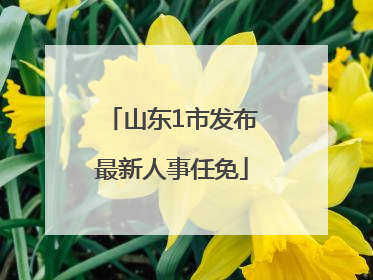 山东1市发布最新人事任免
