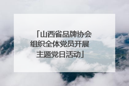 山西省品牌协会组织全体党员开展主题党日活动