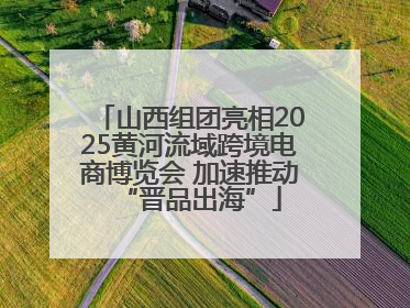 山西组团亮相2025黄河流域跨境电商博览会 加速推动“晋品出海”