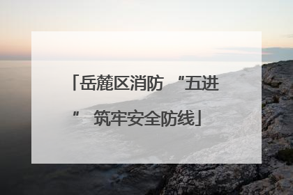 岳麓区消防 “五进” 筑牢安全防线