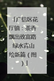 广信区花厅镇：茶香飘出致富路 绿水青山绘新篇（图）