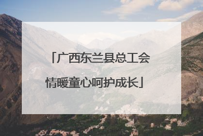 广西东兰县总工会情暖童心呵护成长