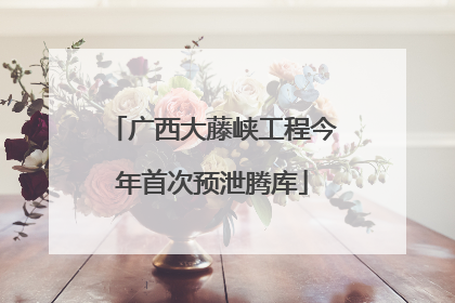 广西大藤峡工程今年首次预泄腾库