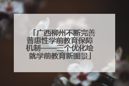广西柳州不断完善普惠性学前教育保障机制——三个优化绘就学前教育新图景