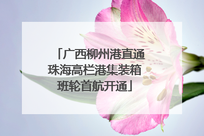 广西柳州港直通珠海高栏港集装箱班轮首航开通