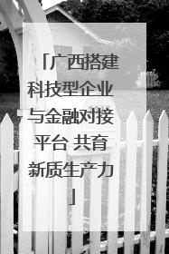 广西搭建科技型企业与金融对接平台 共育新质生产力