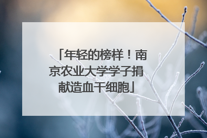 年轻的榜样！南京农业大学学子捐献造血干细胞