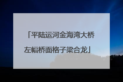 平陆运河金海湾大桥左幅桥面格子梁合龙