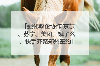 强化政企协作 京东、苏宁、美团、饿了么、快手齐聚郑州签约