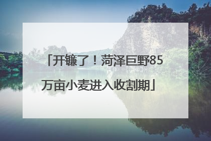 开镰了！菏泽巨野85万亩小麦进入收割期