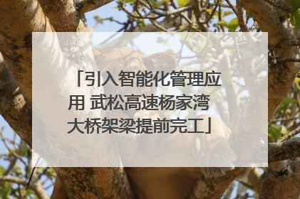 引入智能化管理应用 武松高速杨家湾大桥架梁提前完工