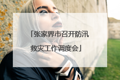 张家界市召开防汛救灾工作调度会