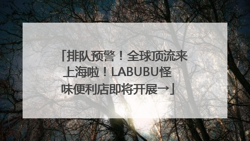排队预警！全球顶流来上海啦！LABUBU怪味便利店即将开展→