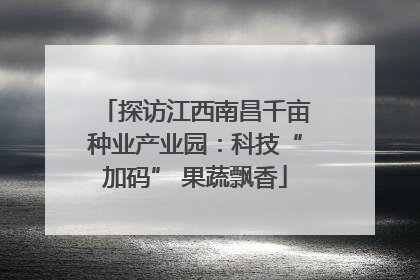 探访江西南昌千亩种业产业园：科技“加码” 果蔬飘香