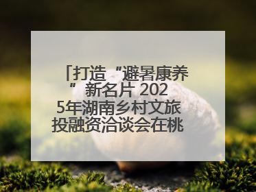打造“避暑康养”新名片 2025年湖南乡村文旅投融资洽谈会在桃江举办