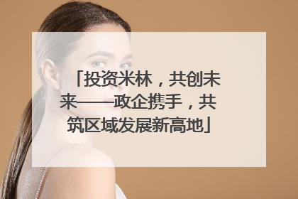 投资米林，共创未来——政企携手，共筑区域发展新高地