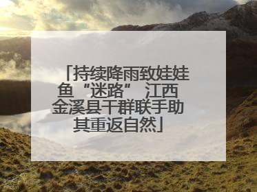 持续降雨致娃娃鱼“迷路” 江西金溪县干群联手助其重返自然