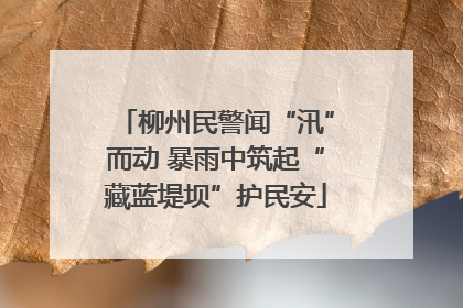 柳州民警闻“汛”而动 暴雨中筑起“藏蓝堤坝”护民安