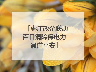 枣庄政企联动百日清障保电力通道平安