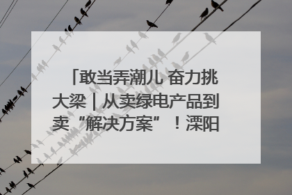 敢当弄潮儿 奋力挑大梁｜从卖绿电产品到卖“解决方案”！溧阳立足产业优势建成五大微电网示范项目