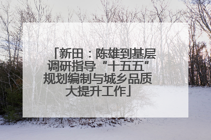 新田：陈雄到基层调研指导“十五五”规划编制与城乡品质大提升工作
