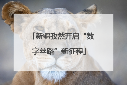 新疆孜然开启“数字丝路”新征程