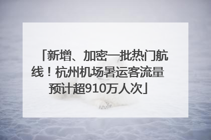 新增、加密一批热门航线！杭州机场暑运客流量预计超910万人次