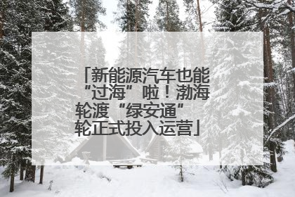 新能源汽车也能“过海”啦！渤海轮渡“绿安通” 轮正式投入运营