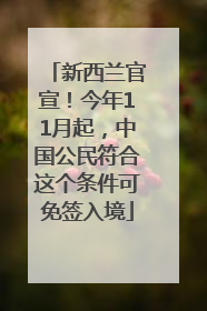 新西兰官宣！今年11月起，中国公民符合这个条件可免签入境